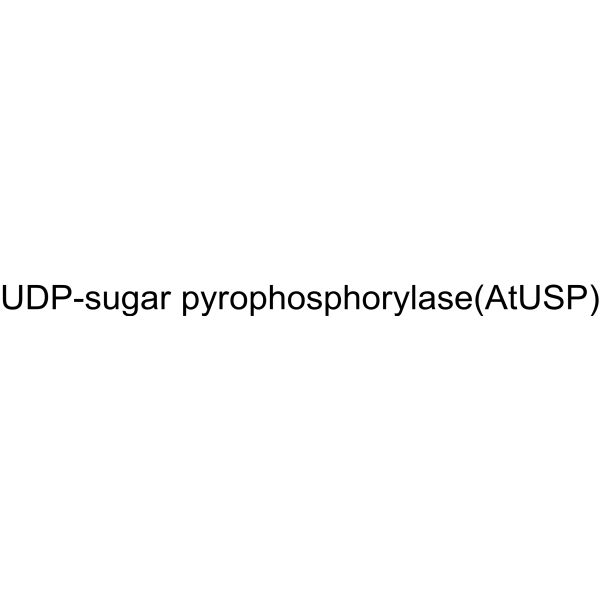 UDP-sugar pyrophosphorylase (AtUSP) 223918-15-8